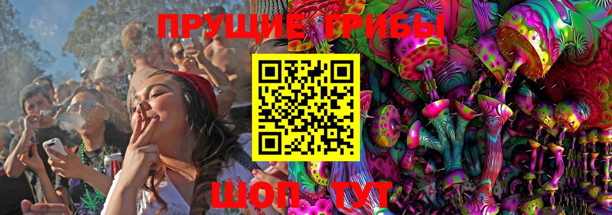 Галлюциногенные грибы ЛСД  Галлюциногенные грибы Psilocybe  Вход с VPN  где купить наркоту  Заринск 