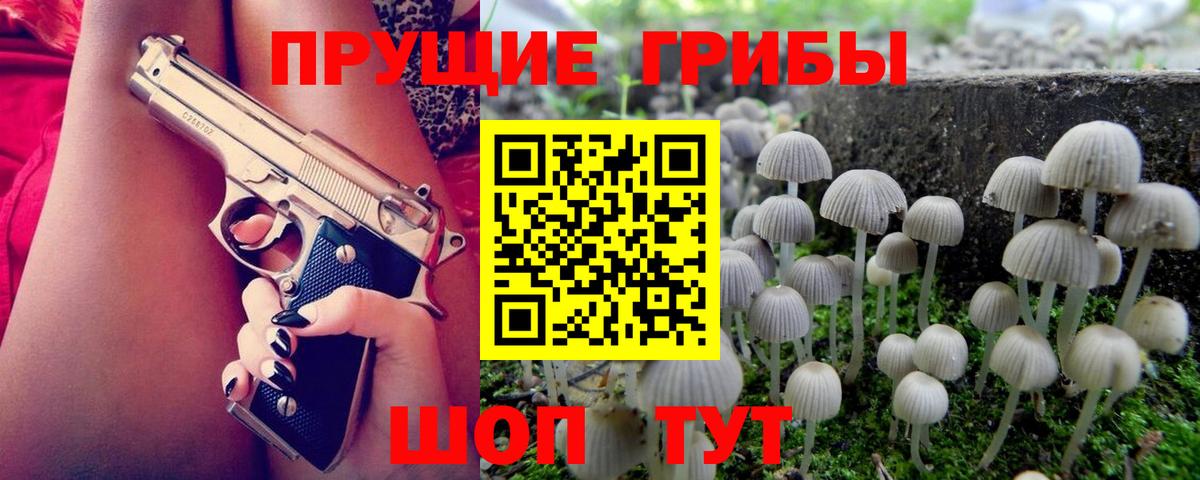 Галлюциногенные грибы Psilocybine cubensis Заринск
