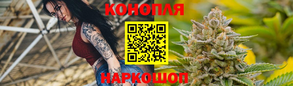 Конопля сатива Заринск